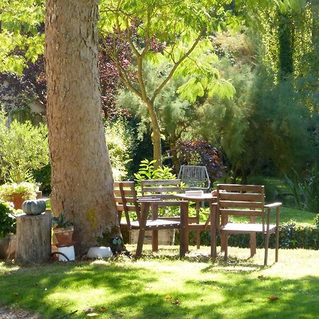 Domaine De Joreau Gennes-Val-de-Loire Екстер'єр фото