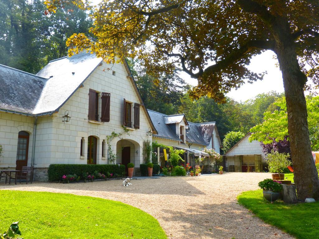 Domaine De Joreau Gennes-Val-de-Loire Екстер'єр фото