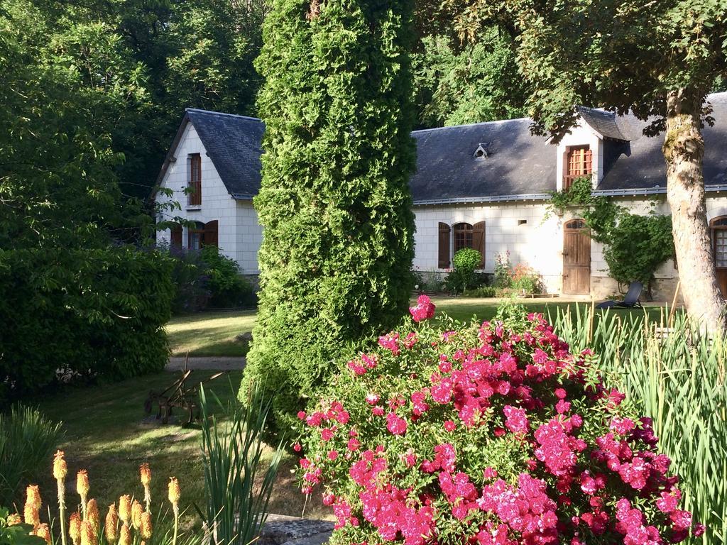 Domaine De Joreau Gennes-Val-de-Loire Екстер'єр фото
