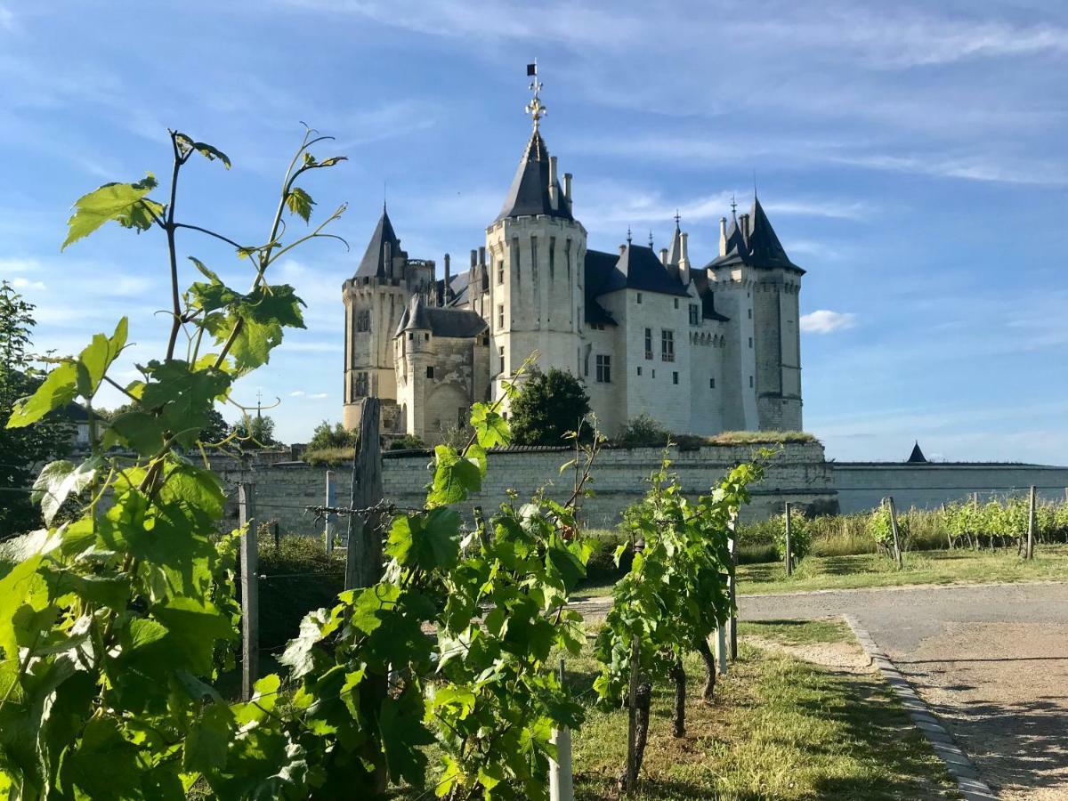 Domaine De Joreau Gennes-Val-de-Loire Екстер'єр фото